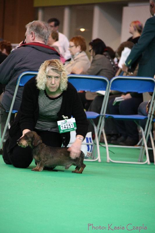 Crufts2011_2 722.jpg